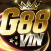 G88vin