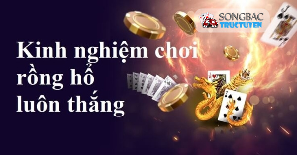 Những kinh nghiệm đánh rongho luôn thắng