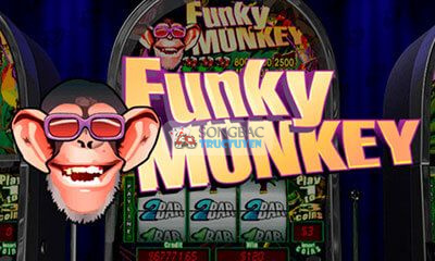 Funky Monkey