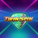 Twin Spin