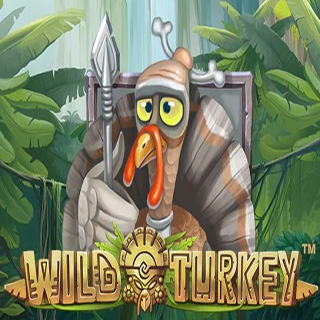 Wild Turkey